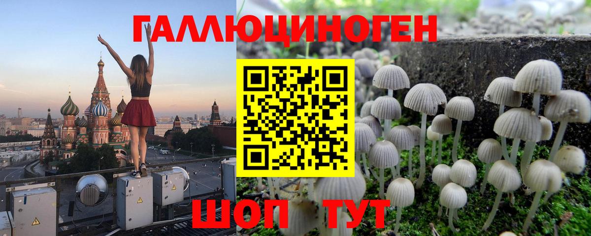 Галлюциногенные грибы ЛСД Шарыпово